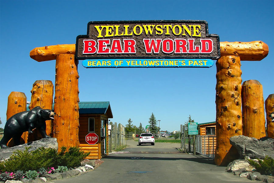 Bear world