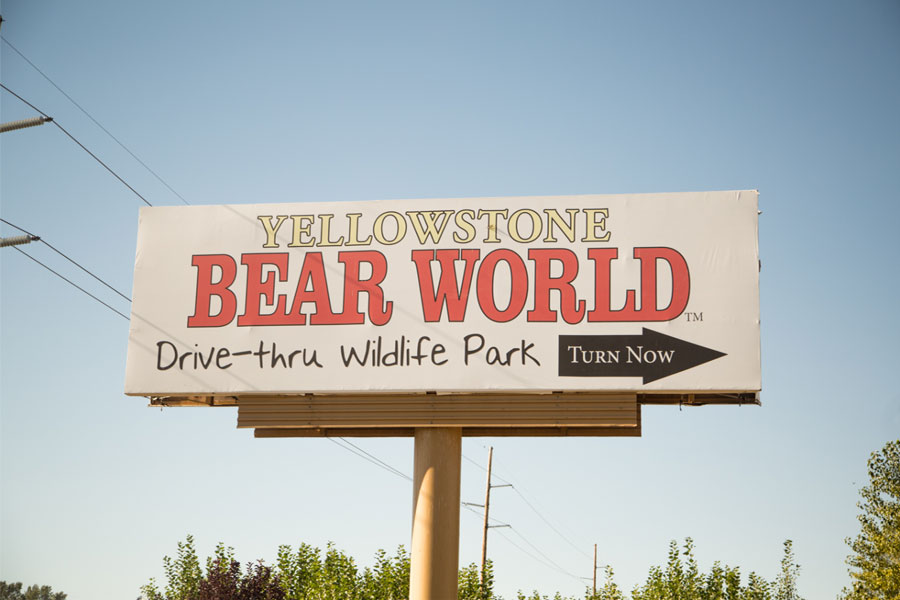 Bear world2