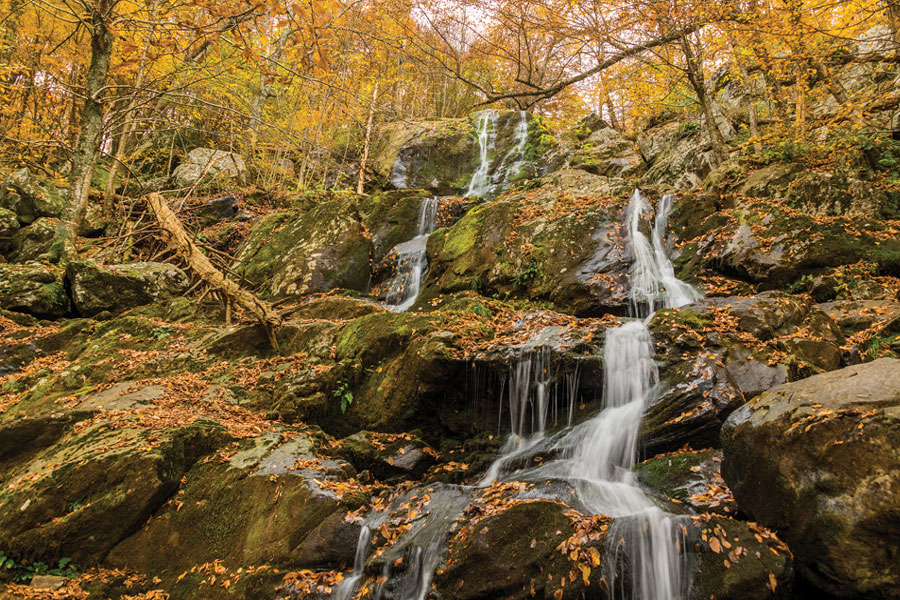 Virginia Shenandoah park