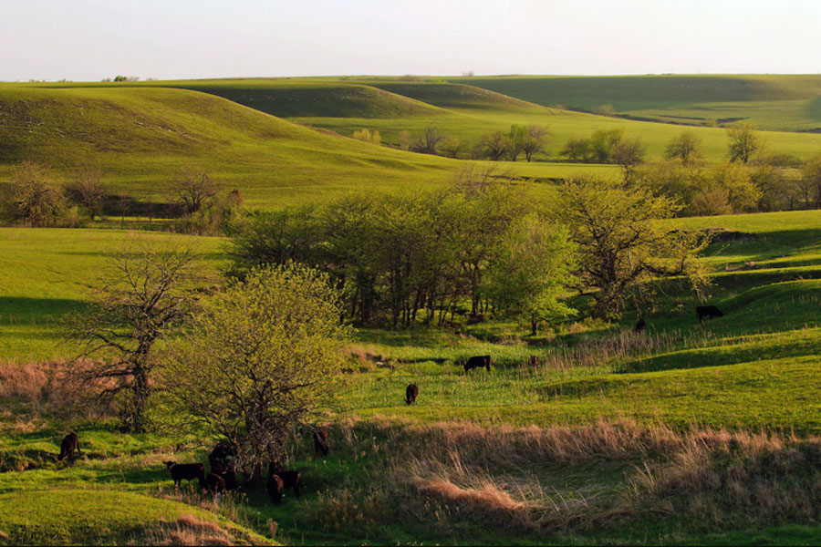 kansas flint hills