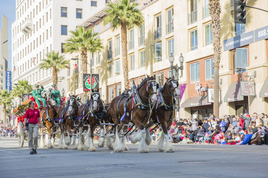 Rose Parade 02