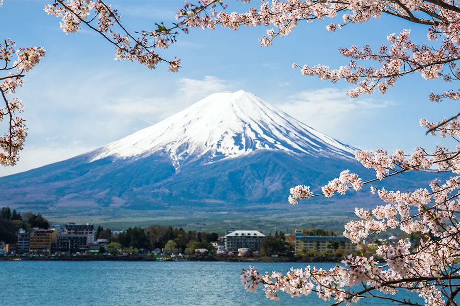 Fuji Mountain