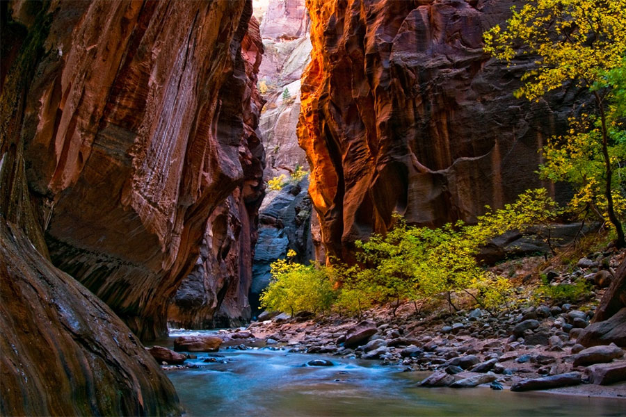 ZionNationalPark