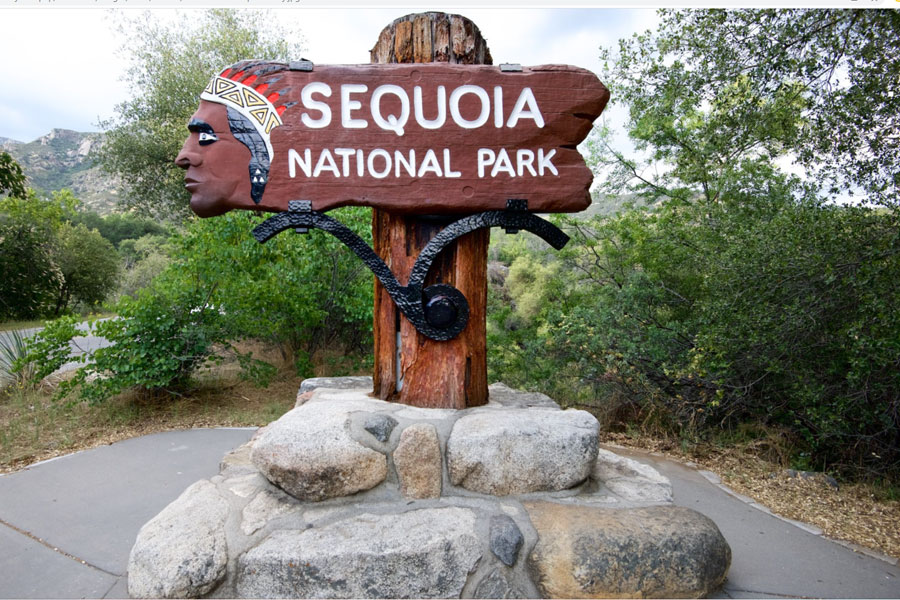 Sequoia National Park: Land of Giants