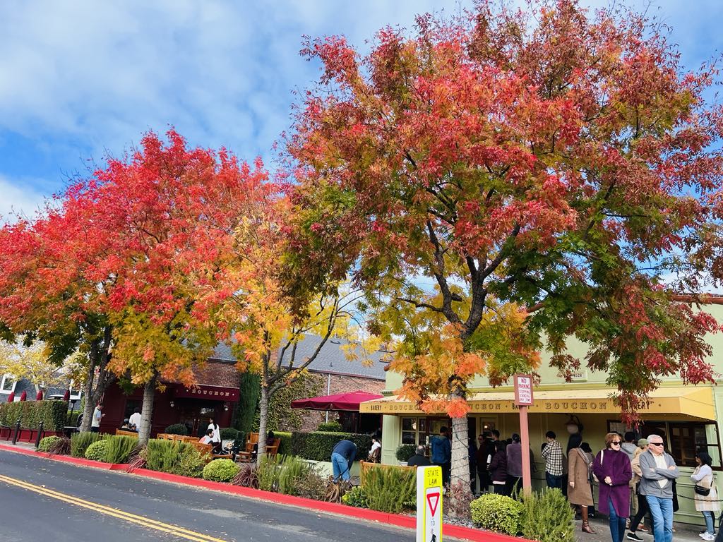 Thung lũng Napa - Sonoma - Yountville - San Francisco