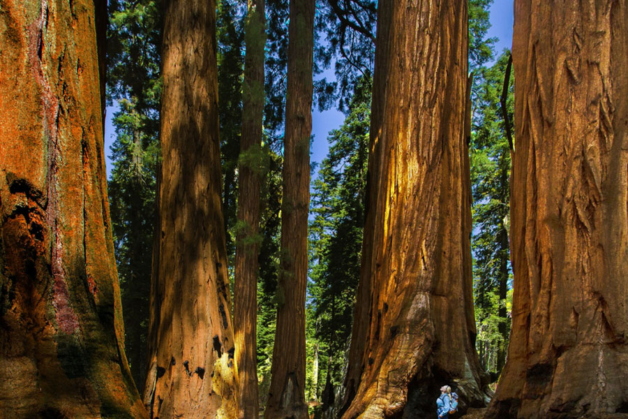 LOS ANGELES - SAN DIEGO