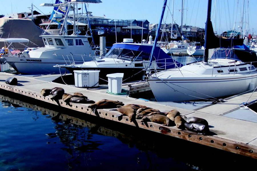 17-mile Drive, Fisherman's Wharf, Cannery Row, Carmel by the Sea