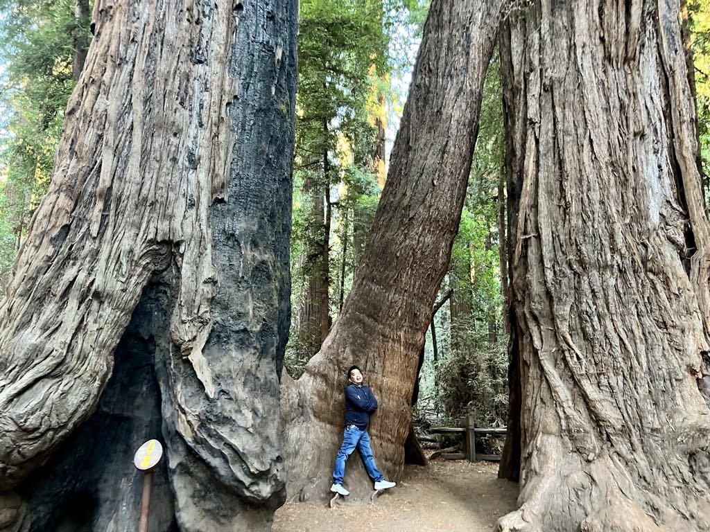 Kim Son Temple - Tam Tu Temple - Santa Cruz - Henry Cowell Redwood State Park