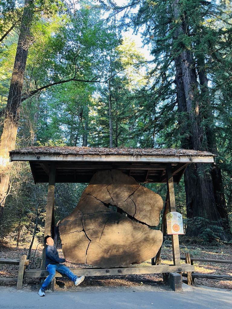 Kim Son Temple - Tam Tu Temple - Santa Cruz - Henry Cowell Redwood State Park