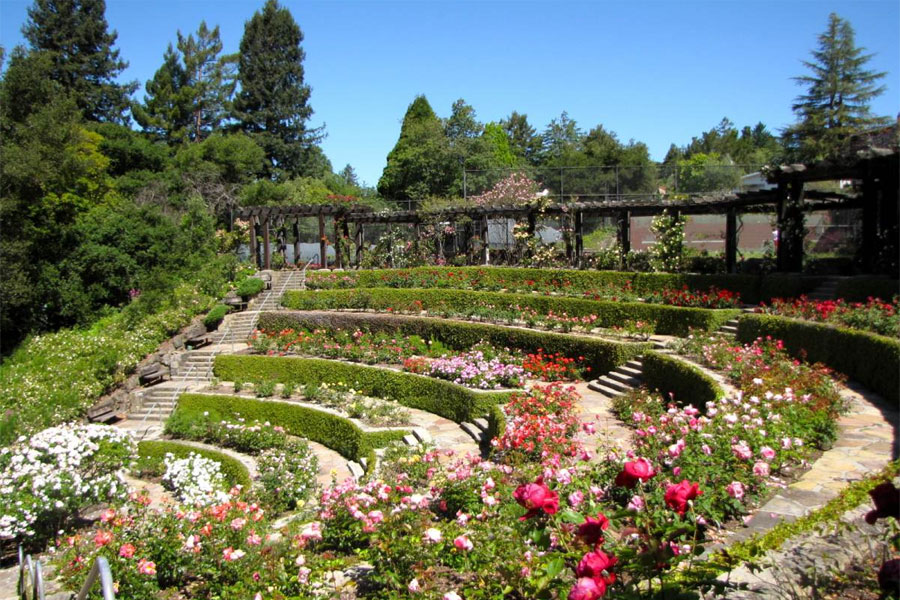 UC TOUR (UNVERSITY OF CALIFORNIA)