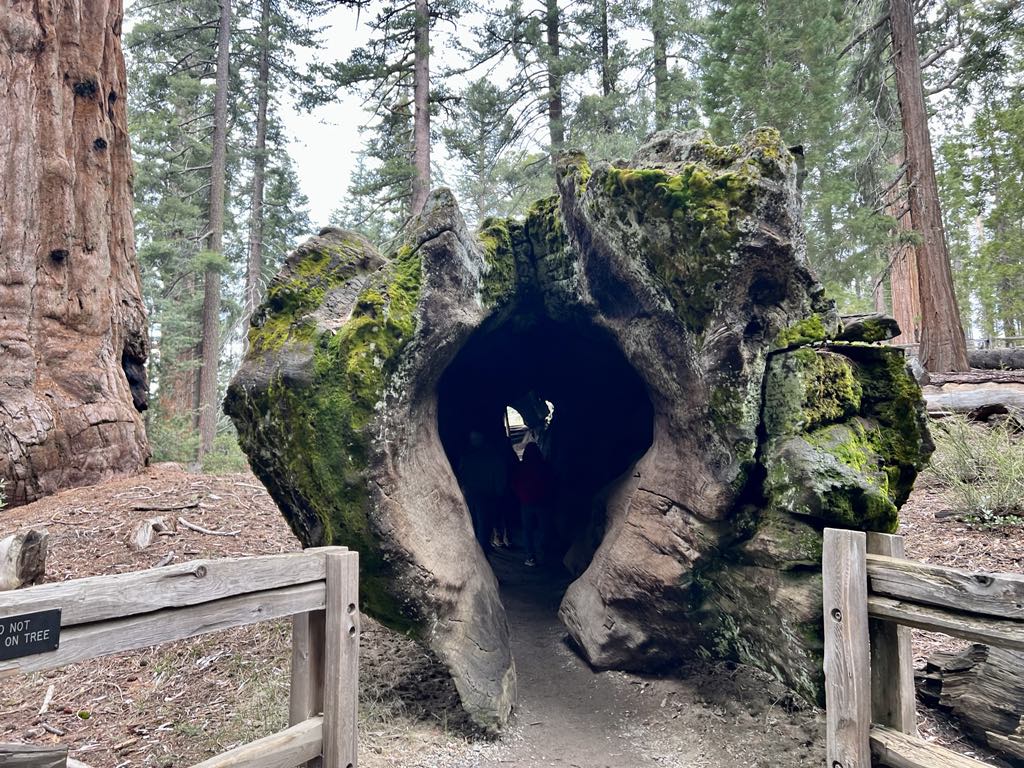 Kings Canyon National Park