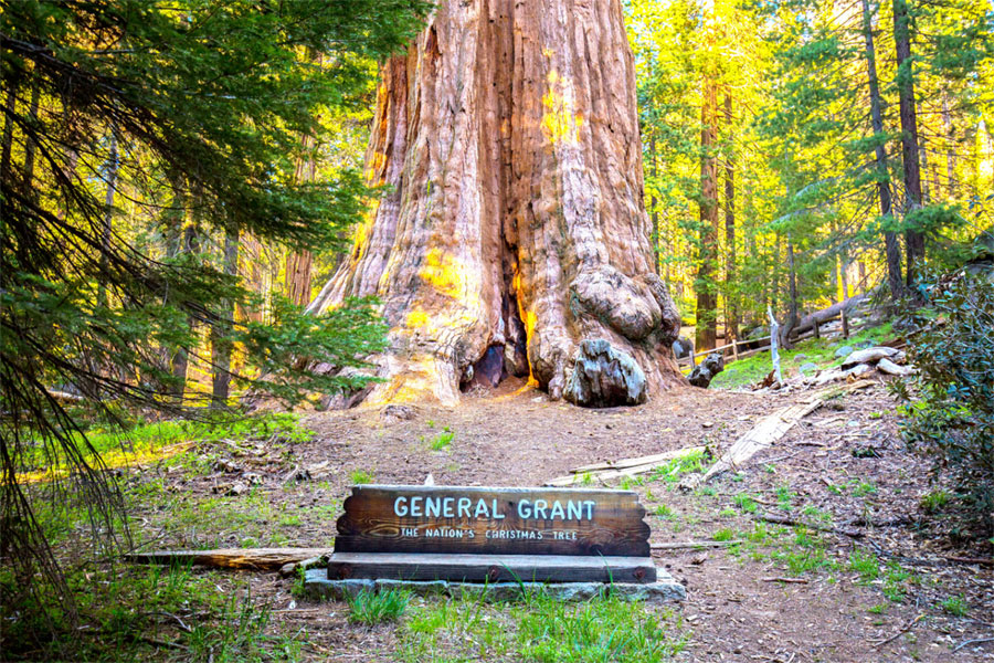 Kings Canyon National Park