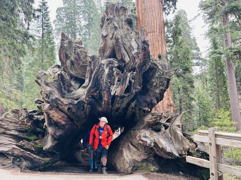 Kings Canyon National Park