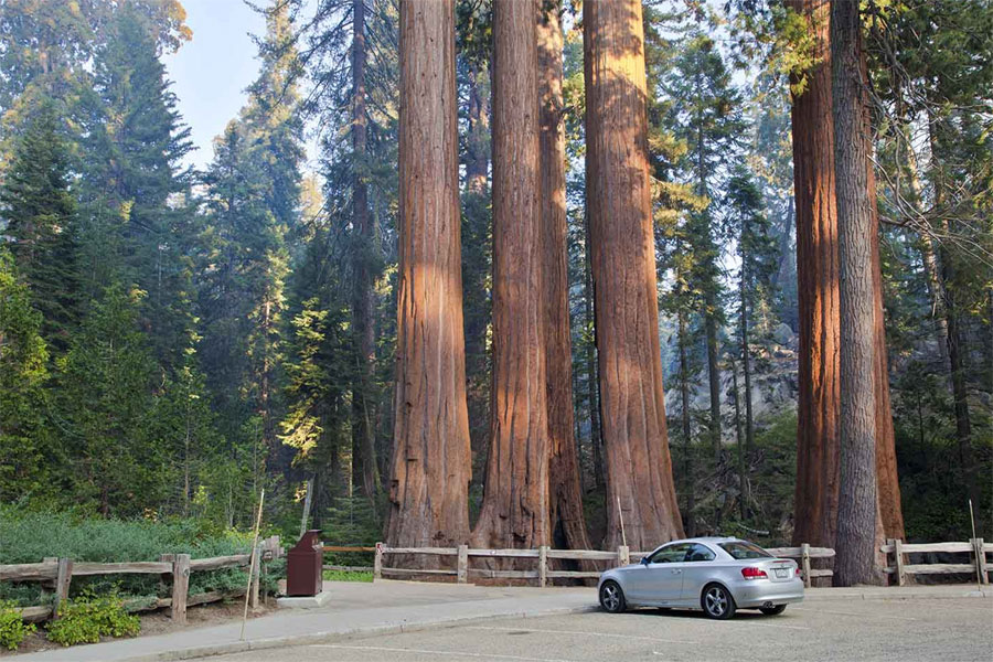 Kings Canyon National Park