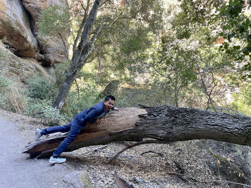 Tour Pinnacle National Park